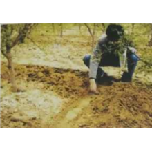 保水劑在林果上的應用效果